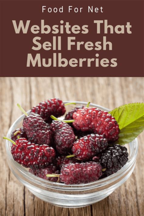 buy fresh mulberries online.